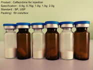 Ceftazidime Antibiotische Natrium/Ceftazidime voor Injectie 0.5G - 2.0G